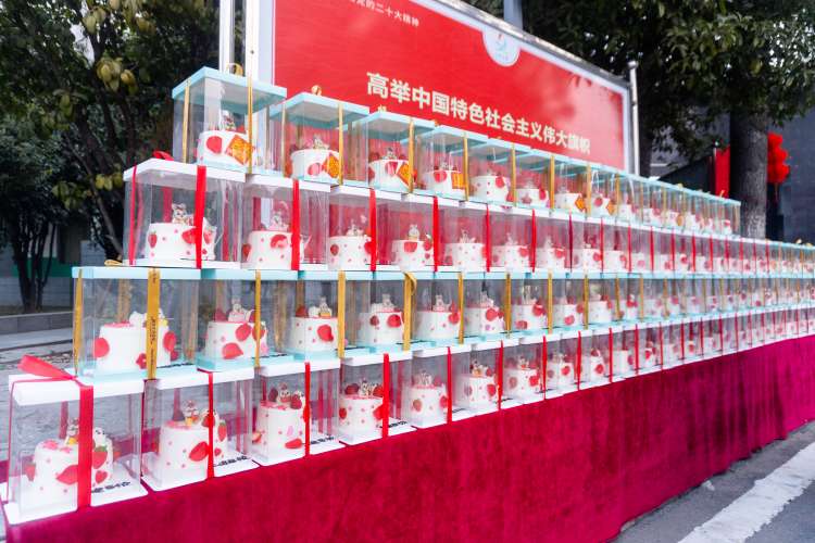 卯兔踏春闹元宵，齐心奋进展新貌(图7)