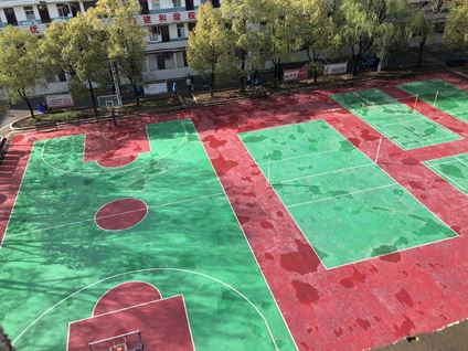 美化校园环境共创和谐校园(图4)